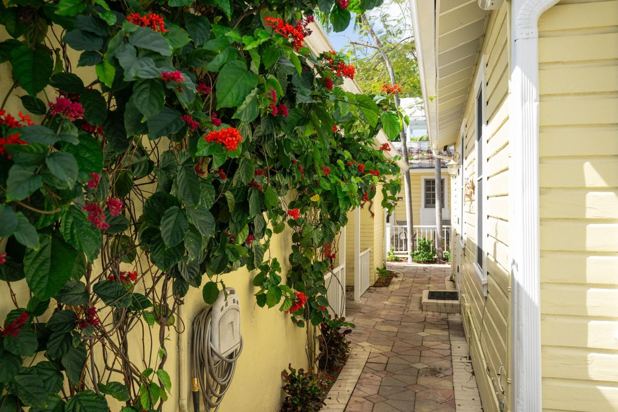 The Cozy Little Cottage Key West Exterior photo